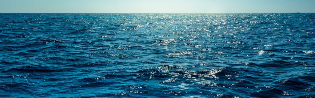 Fly fish Costa Tenerife