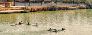 Kayak por río Guadalquivir