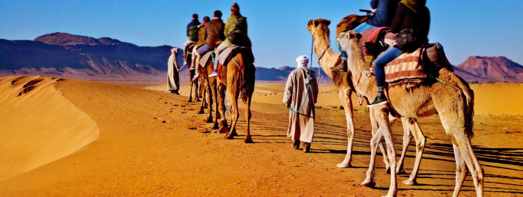 Paseo camello Agadir