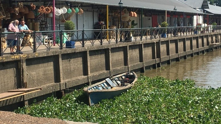Paseo barco Delta Paraná