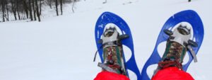 Excursión a Cerdanya con raquetas de nieve