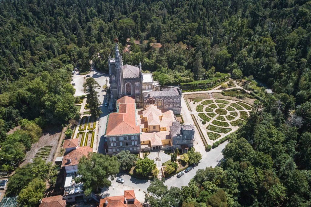 Tour viñedos y bosque encantado Busaco