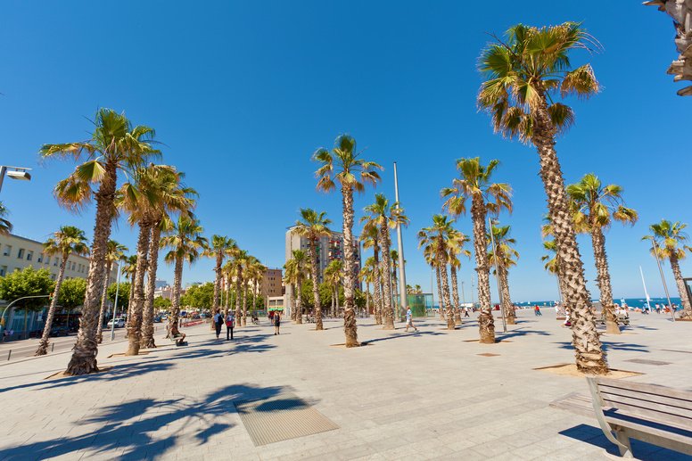 Tour en scooter eléctrica por Barcelona