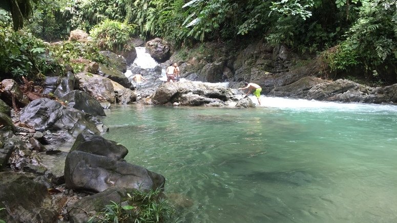 Tour río Danubio Colombia