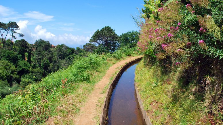 Excursión a Curral dos Romeiros