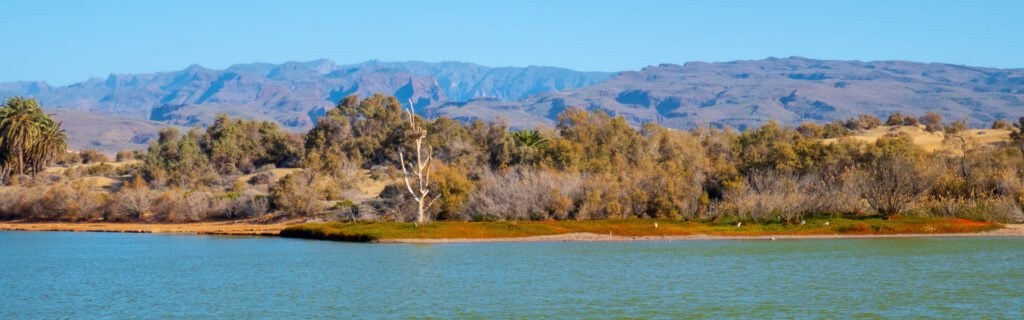 Tour bici vistas panorámicas tapas