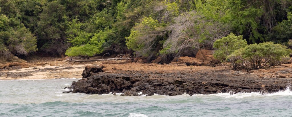 Disfruta de una excursión a Isla Chapera