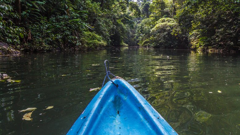 Kayak manglares río Platanares