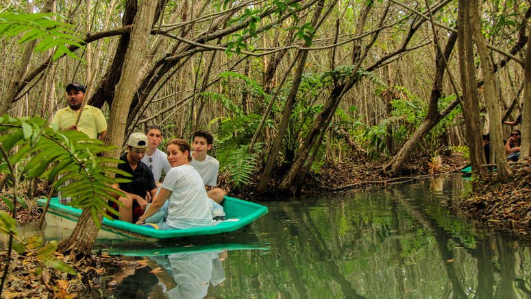 Ecoturismo sabor miel y coco México