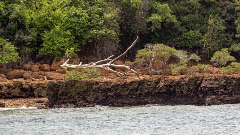 Disfruta de una excursión a Isla Chapera