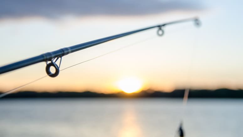 Pesca Alta Mar Cabeza toro