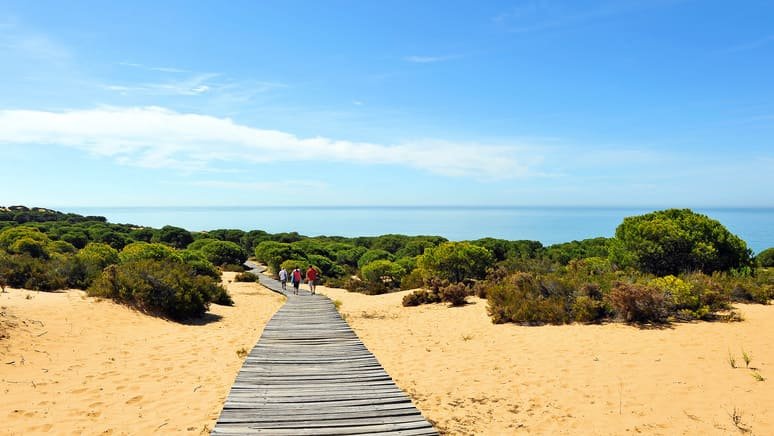 Tour guiado Doñana y El Rocio