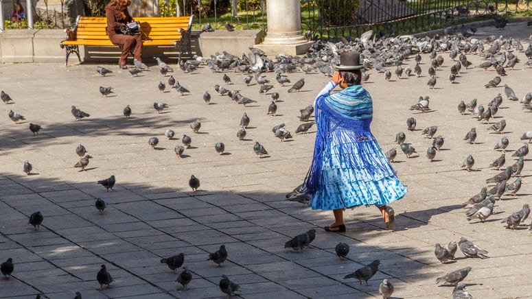 Tour privado medio día La Paz