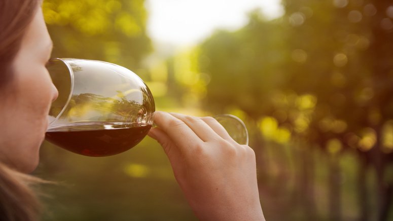 visita guiada palmenti pietranico cata vino