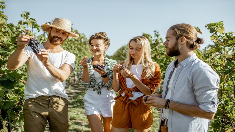 visita guiada bodega valle martello