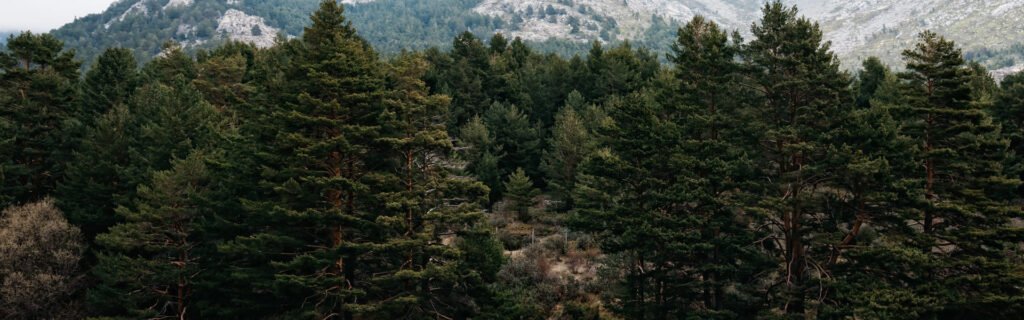 Trekking en la nieve de la Sierra de Guadarrama