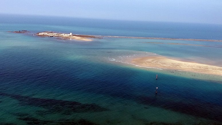 paseo catamaran parque natural bahia cadiz