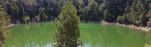 Torcas y lagunas Cañada del Hoyo