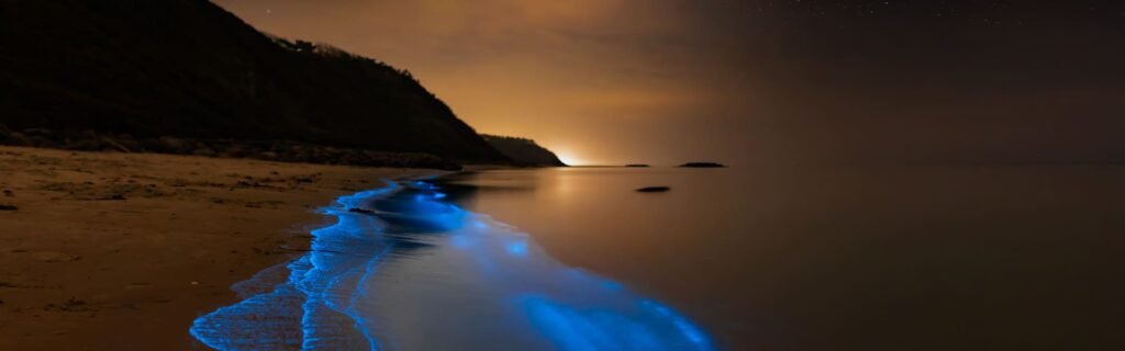 atardecer kayak bioluminiscencia