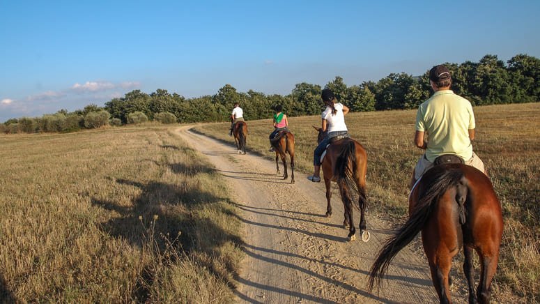 Visita a la bodega Miquel Jané y ruta a caballo