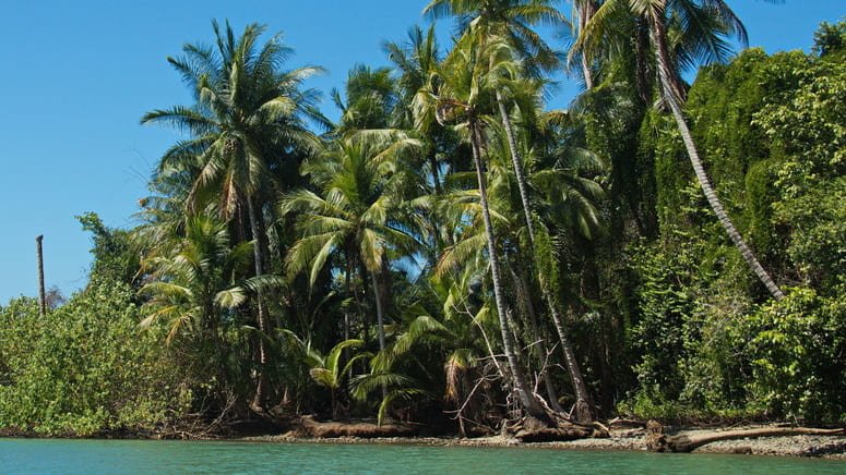 Tour privado Estación Sirena desde Bahía Drake