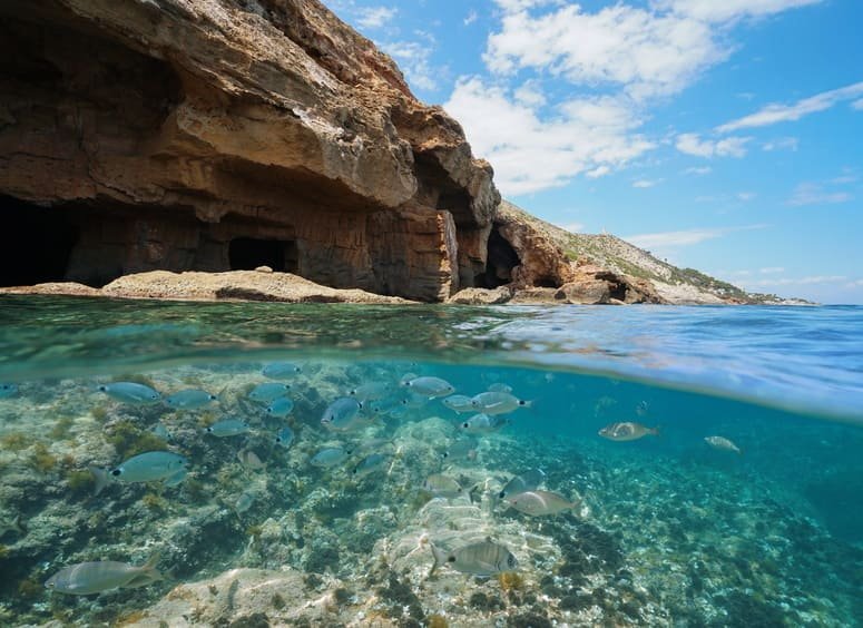Paseo catamarán Costa Blanca