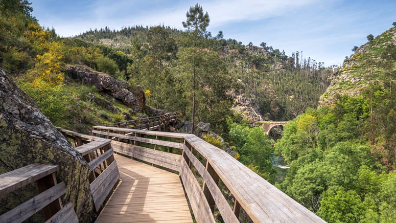 Tour privado por las pasarelas del Paiva