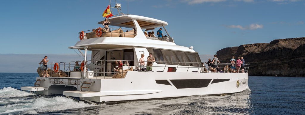 Crucero por la mañana en catamarán