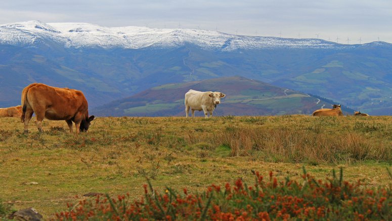 tour cueva monedas castillo valles pasiegos