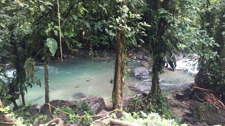 Tour río Danubio Colombia