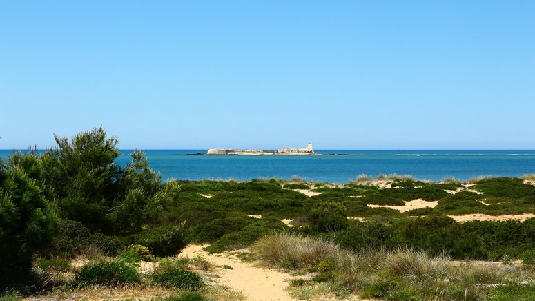 paseo catamaran parque natural bahia cadiz
