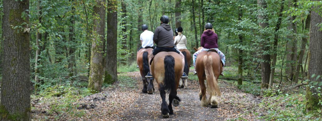Cabalga por la selva del Iguazú