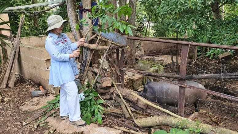 Tour un día visitando Tekit y Mayapan México