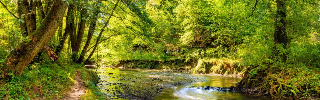 ¡Descubre el paraíso del río Pance!