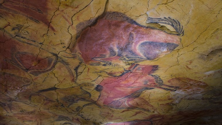 tour santillana mar museo cuevas altamira