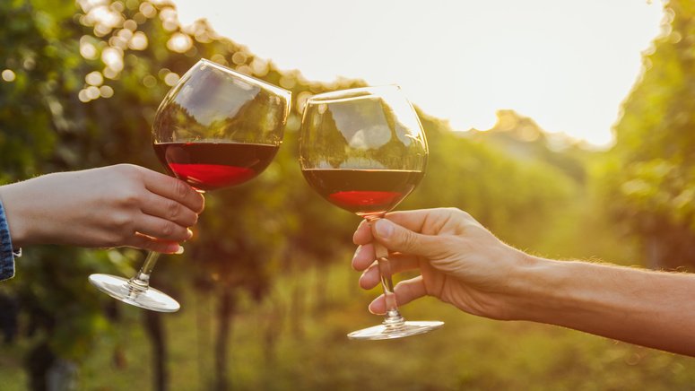 visita guiada bodega valle martello