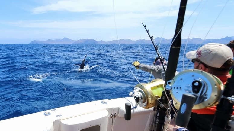 Pesca Alta Mar Cabeza toro