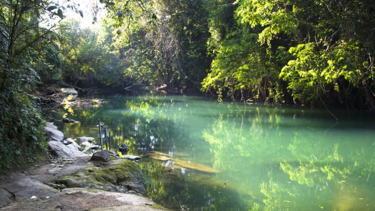 Tour río Danubio Colombia